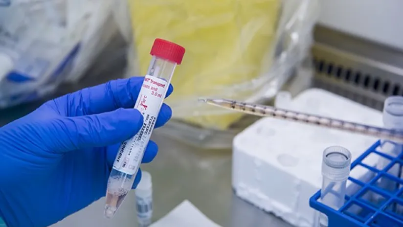Visuel laboratoire Landerneau